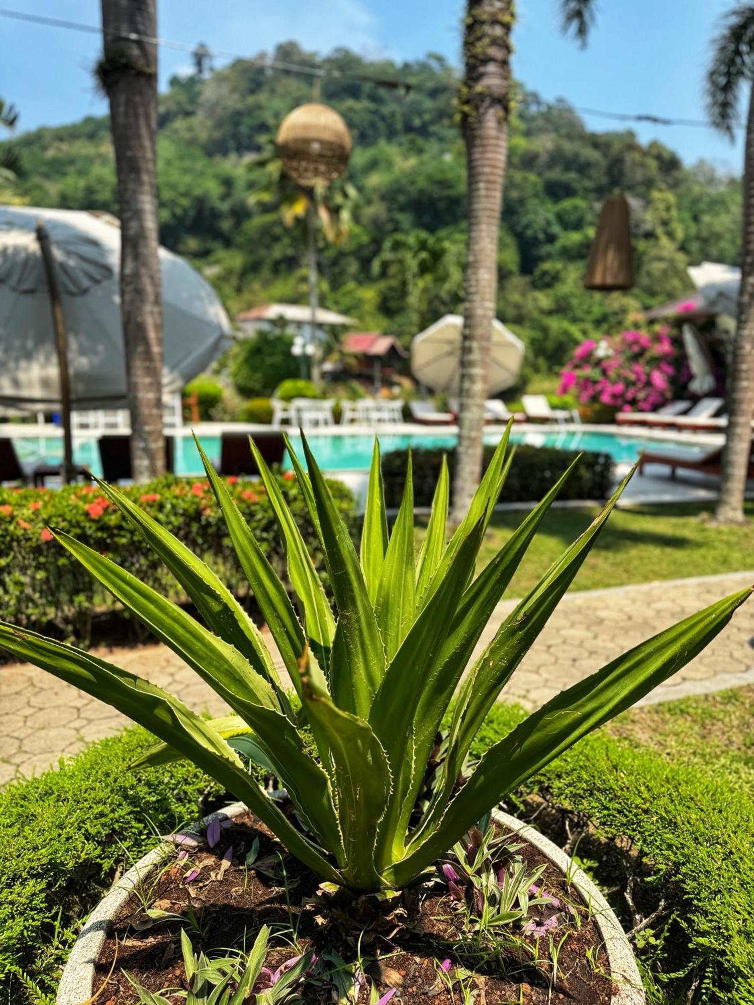 Serenity Lakeside Resort Kathu Exterior foto